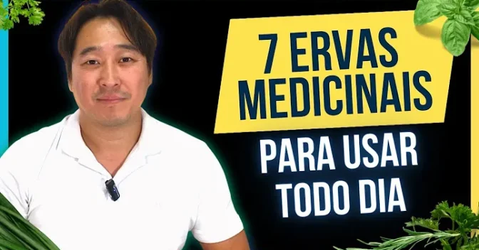 Curiosidades: Descobri as 7 ervas medicinais que transformaram minha saúde diária